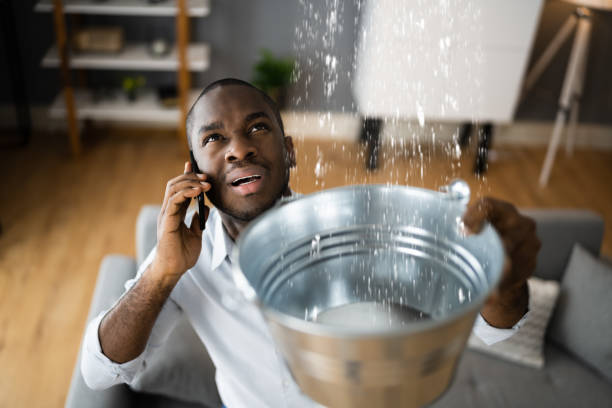 Best Commercial Water Damage Restoration in USA